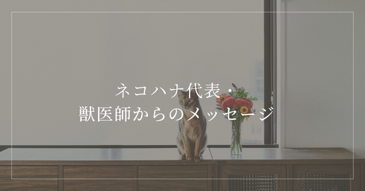 ネコハナ代表・獣医師からのメッセージ