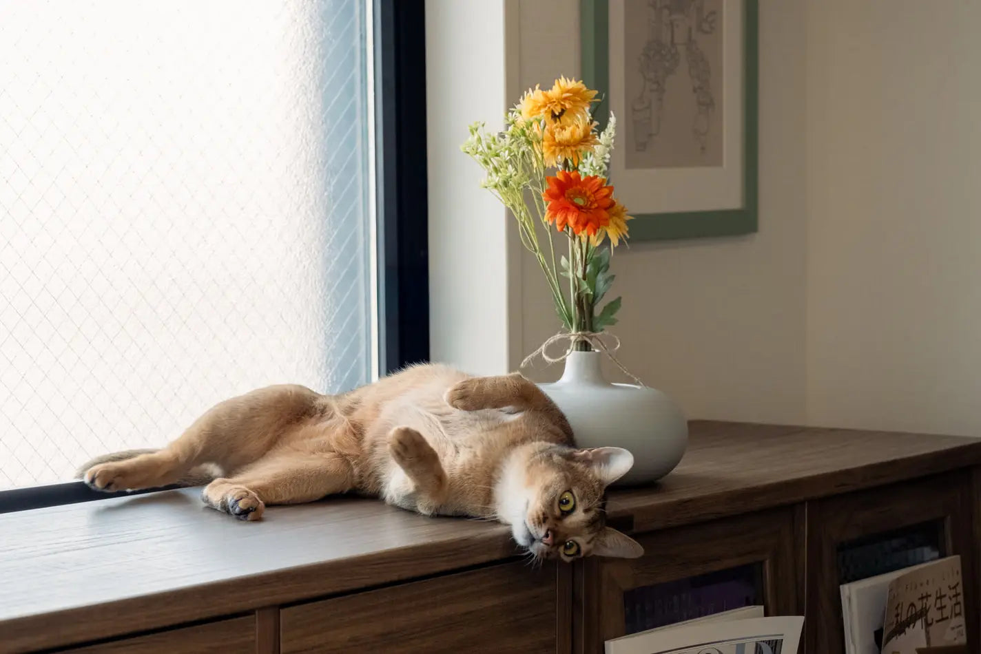 猫に花瓶 〜猫が遊んでも倒れない花瓶〜 ネコハナ×secca
