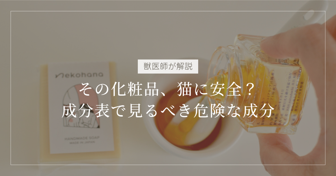 【獣医師解説】その化粧品、本当に猫に安全？成分表で見るべき「危険な成分」の見分け方