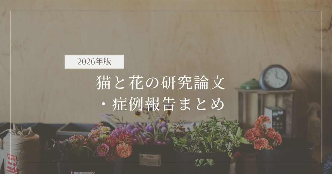 猫と花の研究論文・症例報告まとめ【2026年版】