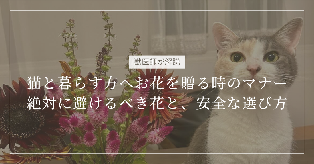 【獣医師が解説】猫と暮らす方へお花を贈る時のマナー。絶対に避けるべき花と、喜ばれる安全な選び方