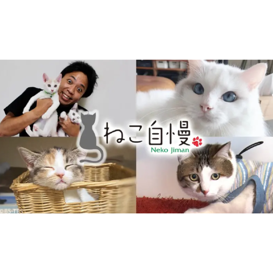 BS-TBS 「ねこ自慢」で放送されました