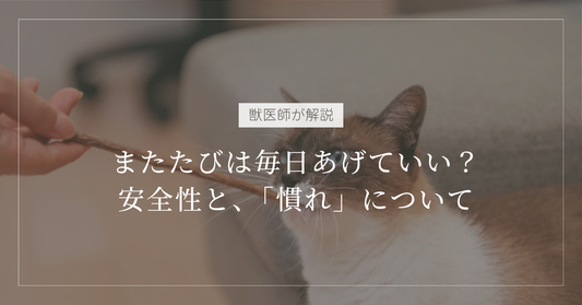 【獣医師解説】またたびは毎日あげていい？猫への安全性の評価と、「慣れ」を調べた研究の紹介