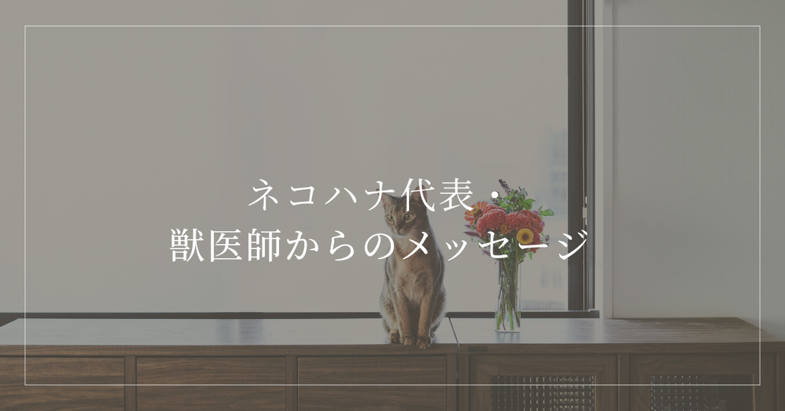 ネコハナ代表・獣医師からのメッセージ
