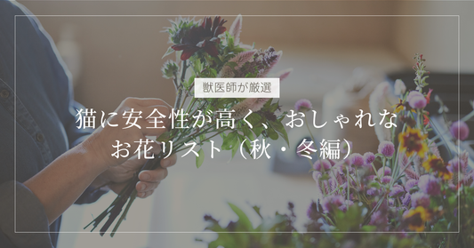 【獣医師が厳選】猫に安全性が高く、おしゃれなお花リスト（秋・冬編）