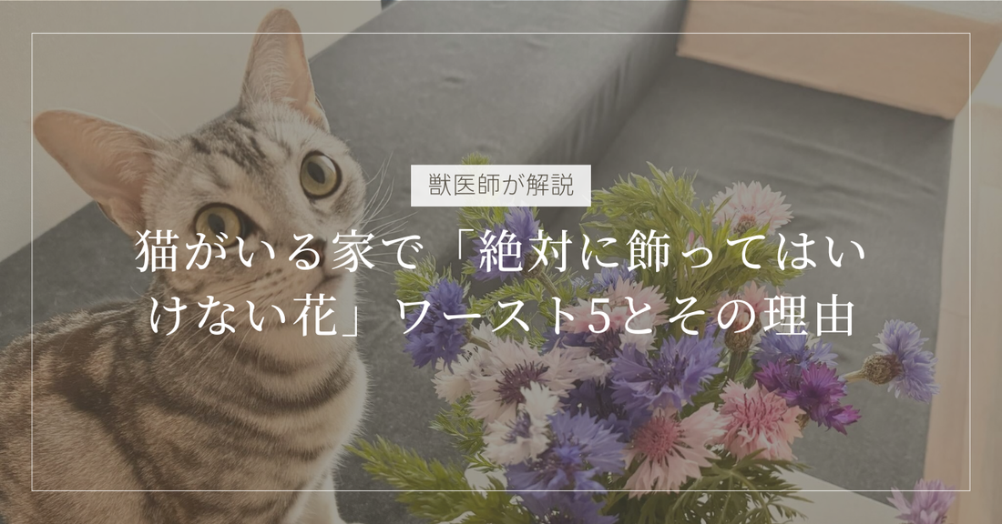 【獣医師解説】猫がいる家で「絶対に飾ってはいけない花」ワースト5とその理由