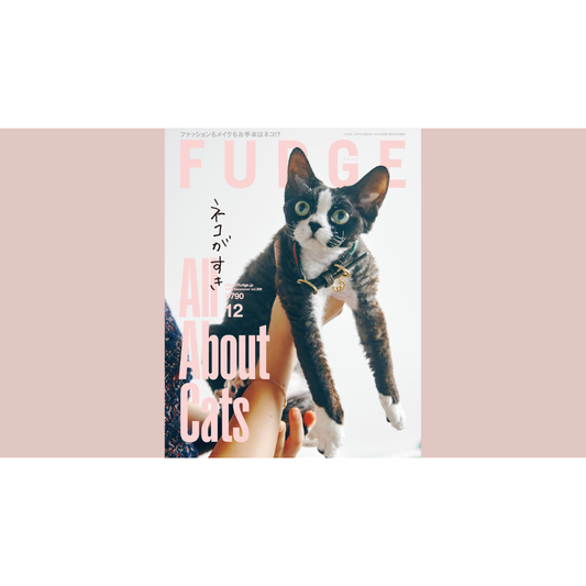 FUDGE 12月号　『 All About Cats ネコがすき 』に掲載されました