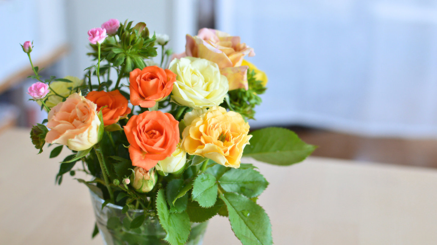 ネコハナ定期便 M（バラ)