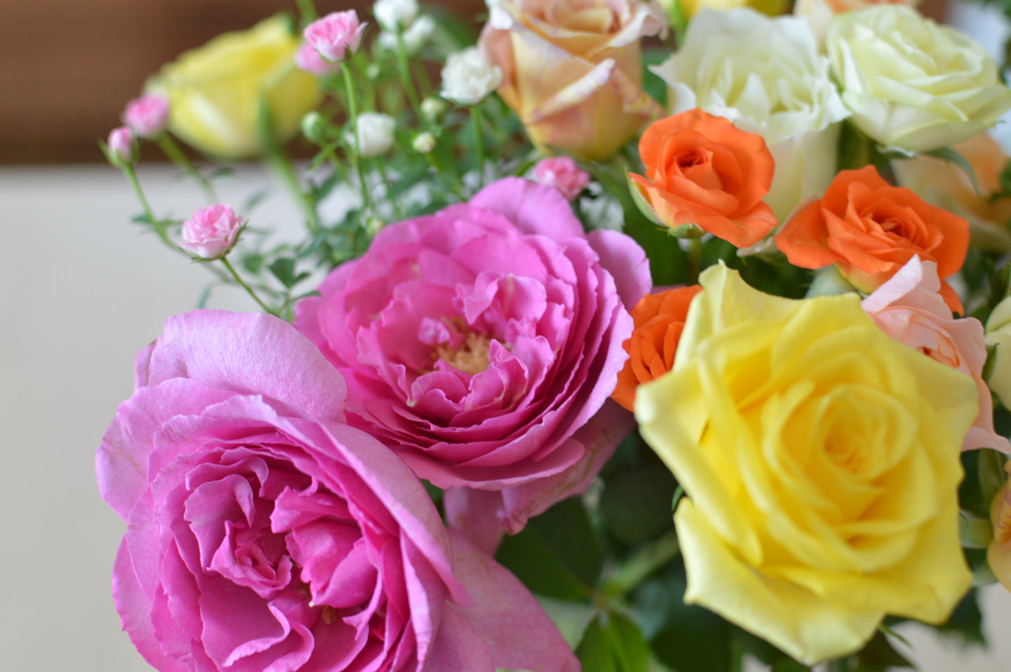 ネコハナギフトL（バラ） (年1回の定期便)