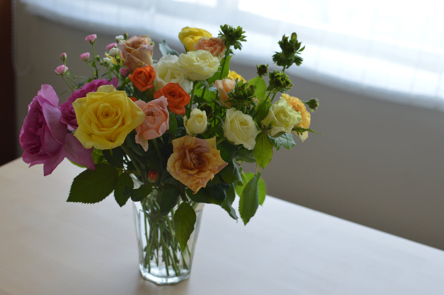 ネコハナギフトL（バラ） (年1回の定期便)