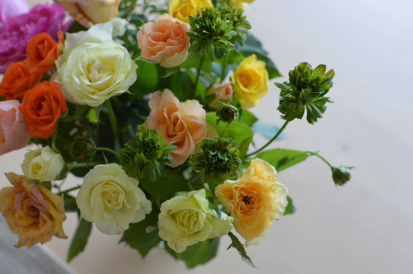 ネコハナギフトL（バラ） (年1回の定期便)