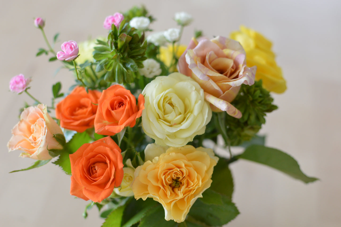 ネコハナギフトM（バラ） (年1回の定期便)