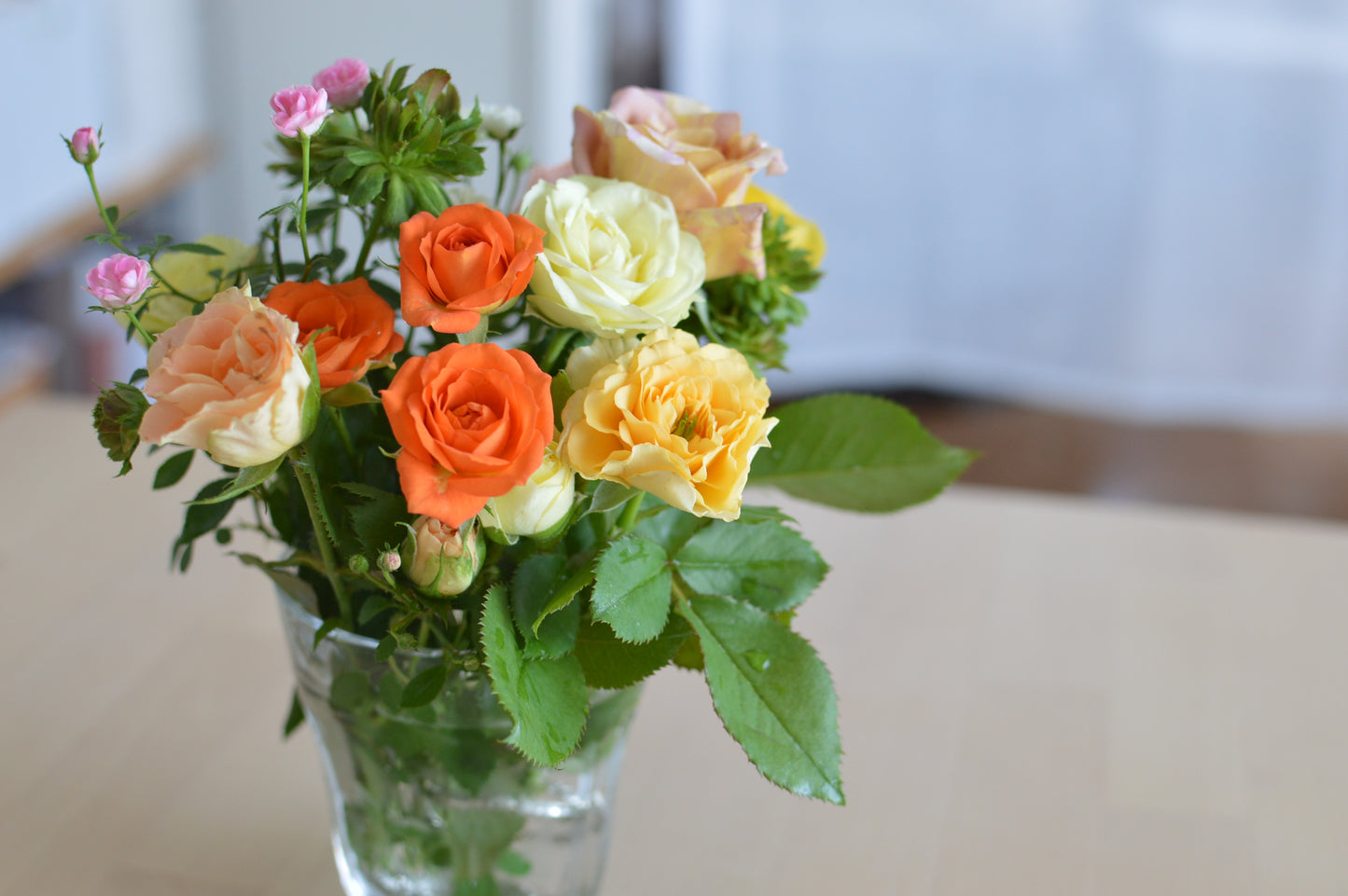 ネコハナギフトM（バラ） (年1回の定期便)