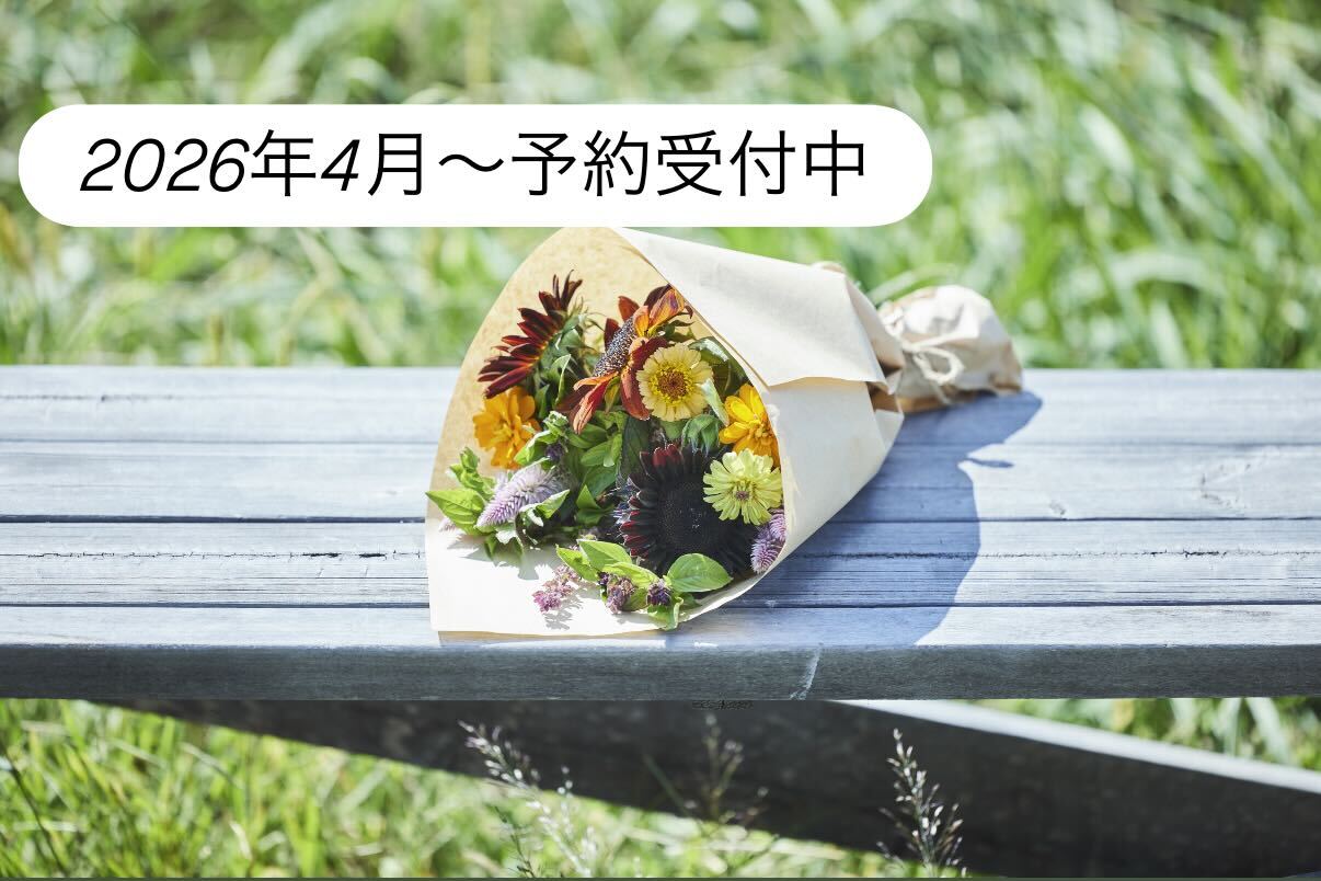 ネコハナギフト M