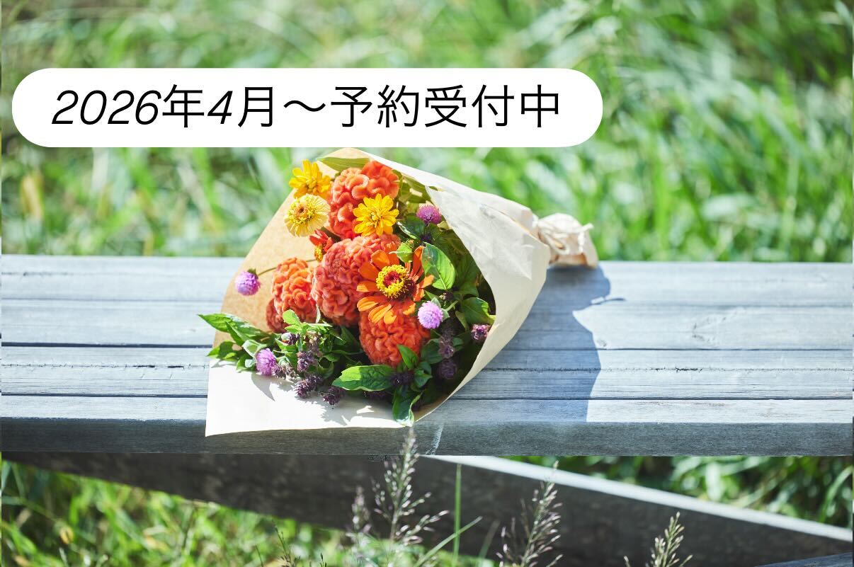 ネコハナギフト L